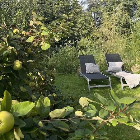 Hébergement de vacances In With Swimming Pool Hemmoor