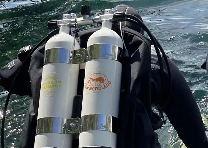 In With Swimming Pool